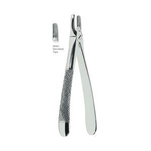 Extracting Forceps Fig. 1 – Serrated Tips for Upper Incisors & Canines | Precision Dental Extraction Tool