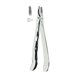 Extracting Forceps with Coderella handle With serrated tips for  Upper incisors and canines  Fig. 1