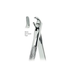 Extracting Forceps Fig. 75 – Serrated Tips for Lower Canines and Premolars – Precision Dental Extraction Instrument