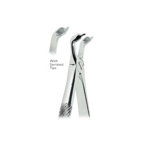 Extracting Forceps Fig. 79C – Serrated Tips for Lower Third Molars – Precision Dental Extraction Instrument
