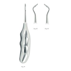 Flohr Root Elevator Fig. 1F – Stainless Steel Dental Tool with Anatomically Shaped Handle for Extractions