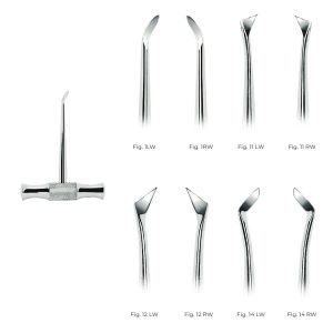 Winter Root Elevators with Stainless Steel Handle Fig. 11LW – Durable Dental Tool for Precise Root Extraction