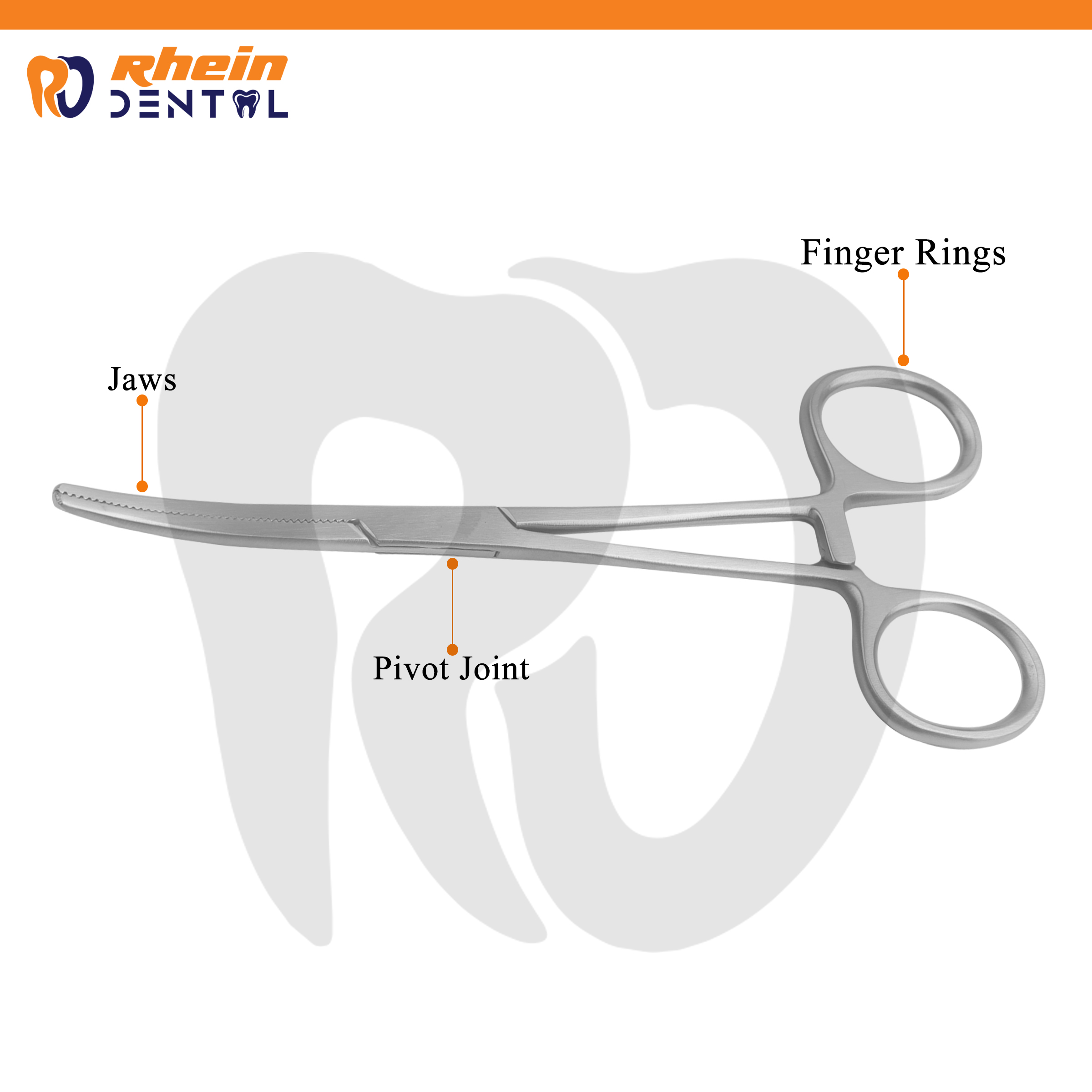 Pean Artery Forceps CVD Small 13 cm – Maxillofacial Hemostatic Instrument