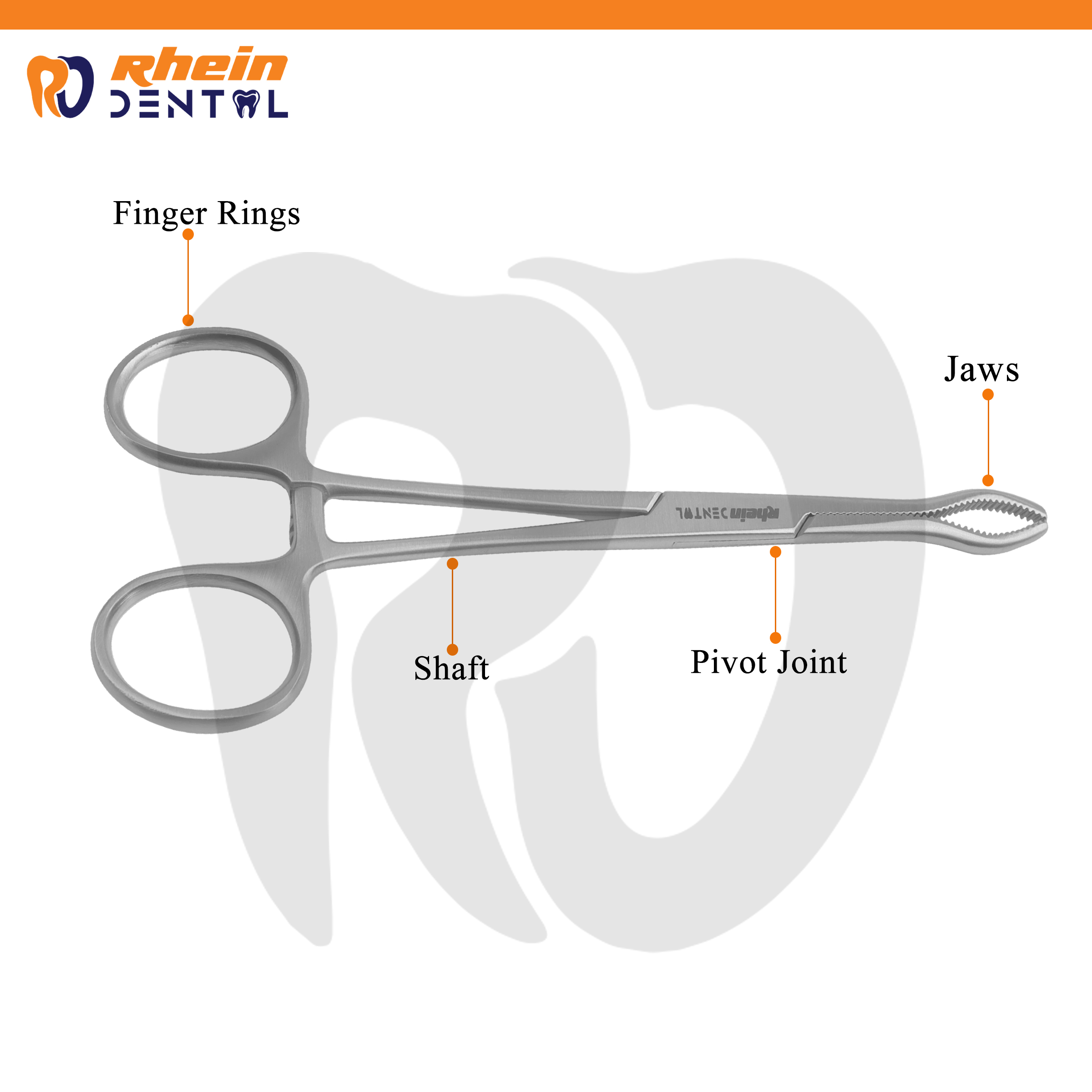 Backhaus Towel/Bone Holding Forceps 13 cm – Maxillofacial Surgical Instrument