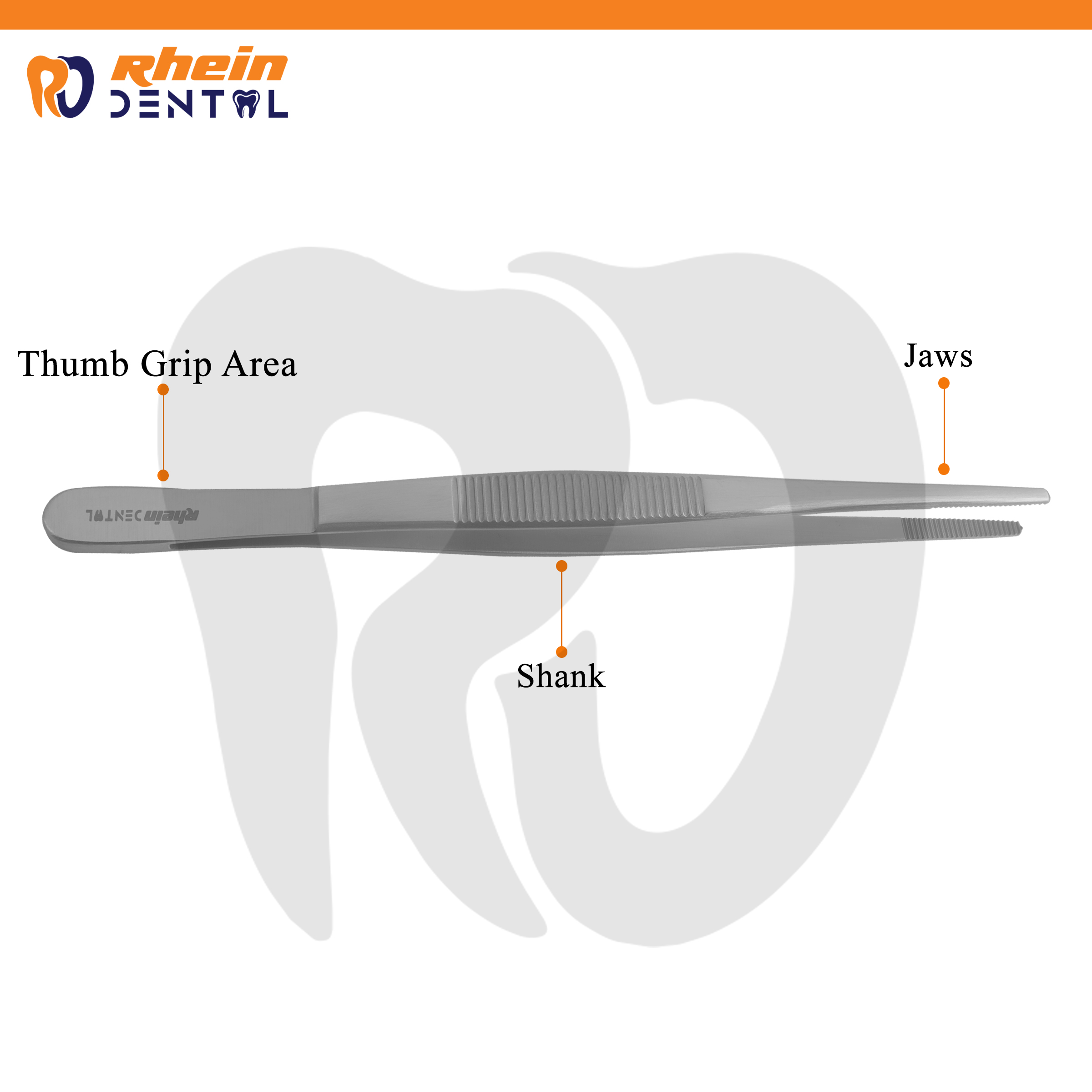 Plane Forceps 15 cm – Dental Extraction Instrument for Safe Tooth Removal