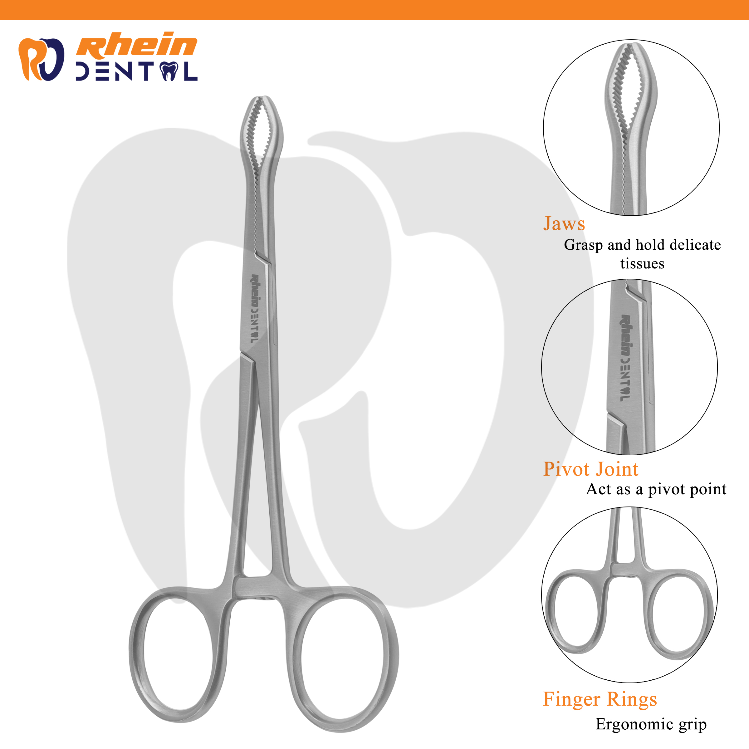 Backhaus Towel/Bone Holding Forceps 13 cm – Maxillofacial Surgical Instrument