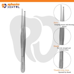 Tooth Forceps 15CM – Precision Dental Extraction Instrument