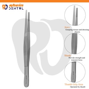 Plane Forceps 15 cm – Dental Extraction Instrument for Safe Tooth Removal