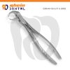 Extracting Forceps the main view with serrated angled tip