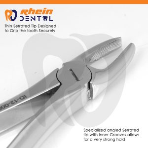 Grooved beak of Extracting Forceps Fig 1 for a secure grip on upper anterior teeth