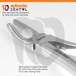 Close-up of curved beaks on maxillary premolar forceps for a centered tooth grip