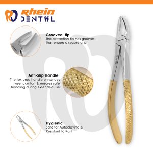German series dental extraction forceps for premolars, stainless steel overview
