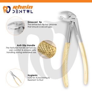 Premolar extraction forceps features: angled tip, anti-slip handle, autoclavable, rust resistant